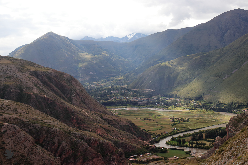 You are currently viewing Das Heilige Tal der Inka – Nahrungspflanzen